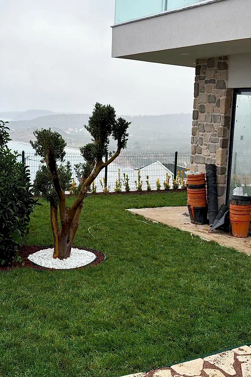 Assos Villa Rulo Çim Serim Süreci